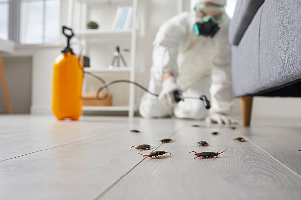 Commercial Kitchen Cockroach Control in Lansdale